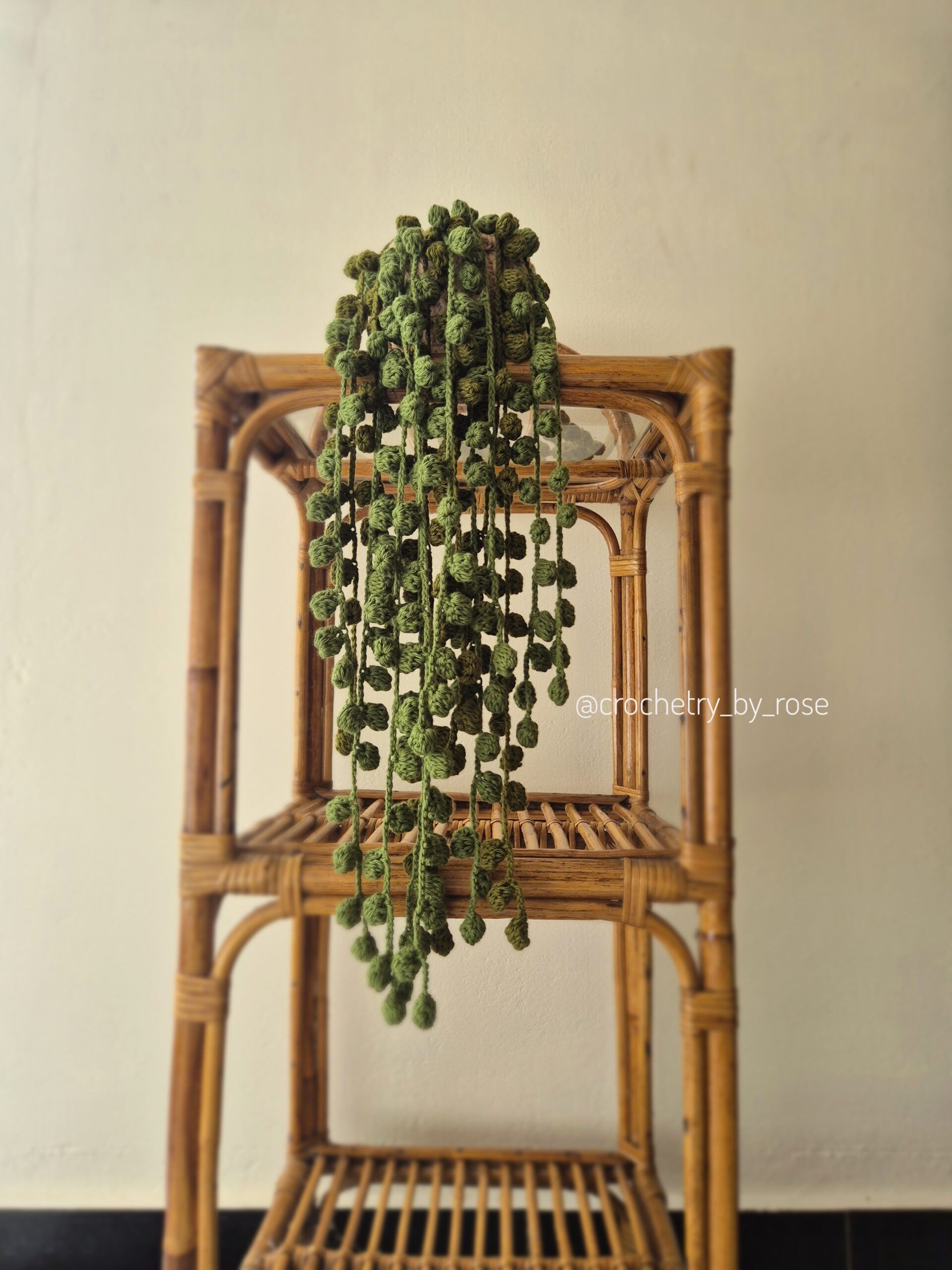 Crocheted Succulents | Crochet String of Pearls Succulent | Home Decor|Room Decor| Car hanging| Rearview Mirror Hanger| Crochet Car Accessories|Forever Plant - Image 3